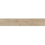SANT'AGOSTINO CERAMICHE PRIMEWOOD HONEY ANTISLIP 20X120 RETTIFICATO