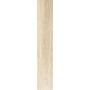 FISSORE.com SANT'AGOSTINO WOOD GEA 20X120 RETT (STOCK DPF)