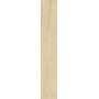 SANT'AGOSTINO CERAMICHE SUNWOOD LIGHT NATURALE 10X60 RETTIFICATO - 9MM