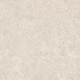 ATLAS CONCORDE BOOST STONE WHITE OUTDOOR 60X60 -20MM