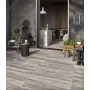 TUSCANIA CERAMICA NORTH WIND GREY 20,2X122,2 RETT OUTDOOR