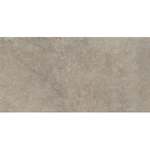 RAGNO CERAMICHE RICHMOND MUSK C2 60X120 RETT.