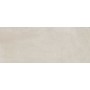 RAGNO CERAMICHE REPLACE TORTORA 20X50