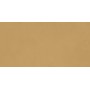 RAGNO CERAMICHE DECORA SENAPE 60X120 RET