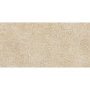 RAGNO CERAMICHE REALSTONE ARGENT MIELE 30X60 RET