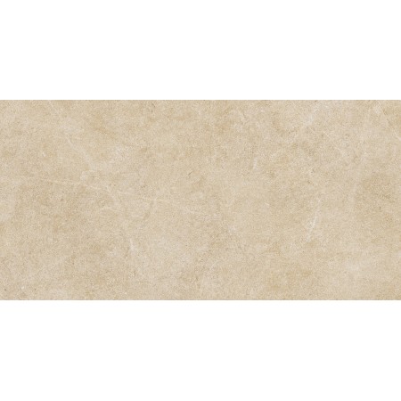 RAGNO CERAMICHE REALSTONE ARGENT MIELE 30X60 RET