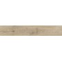 RAGNO CERAMICHE OSSIMORI AVORIO 25X150 RETT