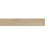 RAGNO CERAMICHE OSSIMORI AVORIO EXTRA MATT 20X120 RETT