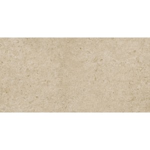 RAGNO CERAMICHE ETERNA GREIGE STRUTTURATO 60x120 RET