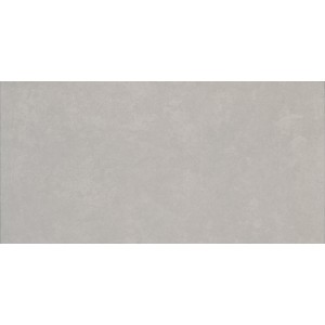 PROGRESS GRAY 30X60 Rektifizierte