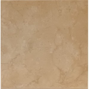 RAGNO CERAMICHE FONTANE BG/S 20X20 STOCK DPF