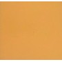 FISSORE.com EUROPA MANDARINO 20X20 (STOCK DPF)