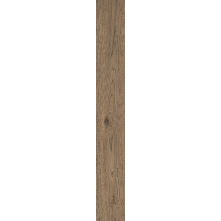 VIVO TABACCO 20X150 Rektifizierte