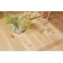CASAPARK 209 EICHE 45 rustikal Naturöl 14 x 209 x 2200 mm