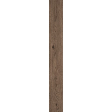 VIVO CASTANO 22,5X180 Rektifizierte