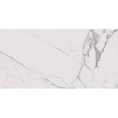 FABULA STATUARIO NATURALE 60X120 Rektifizierte