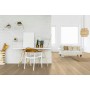 CASAPARK 209 EICHE FARINA 14 ruhiges Naturöl 14 x 209 x 2200 mm