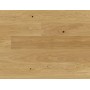 CASAPARK 181 EICHE 14 ruhig matt lackiert 14 x 181 x 2200 mm