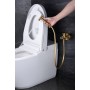 MUNICH BIDET-SPRITZPISTOLE MIT MISCHBATTERIE FÜR WARM- UND KALTWASSER IN GEBÜRSTETEM GOLD