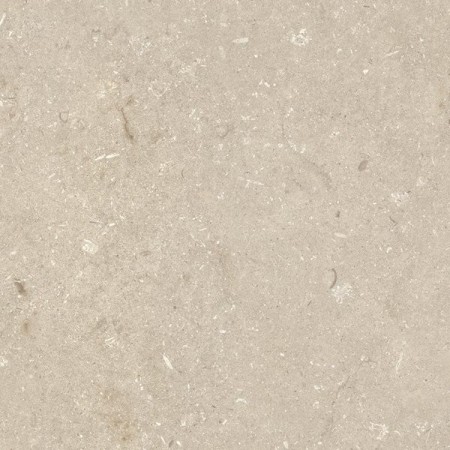 ULTRA SHELLSTONE BEIGE 60X60 rektifizierte 20MM