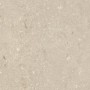 ULTRA SHELLSTONE BEIGE 60X60 rektifizierte 20MM