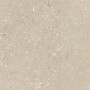 ULTRA SHELLSTONE BEIGE 60X60 rektifizierte 20MM