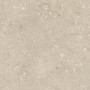 ULTRA SHELLSTONE BEIGE 60X60 rektifizierte 20MM