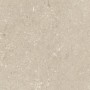 ULTRA SHELLSTONE BEIGE 60X60 rektifizierte 20MM