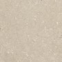 ULTRA SHELLSTONE BEIGE 60X60 rektifizierte 20MM