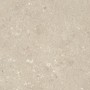 ULTRA SHELLSTONE BEIGE 60X60 rektifizierte 20MM