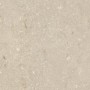 ULTRA SHELLSTONE BEIGE 60X60 rektifizierte 20MM