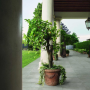 APPEAL_FLOOR GREY OUTDOOR 30X60 rektifizierte