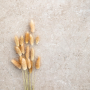 MYSTONE_LIMESTONE20 60X120 TAUPE Rektifizierte 20mm