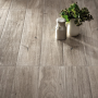 TREVERKEVER ASH 20X120