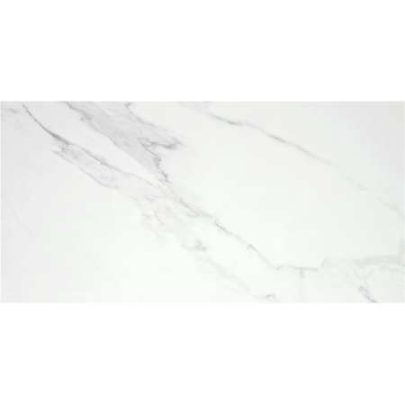 Even White 60x120 Glänzend