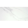 Even White 60x120 Glänzend