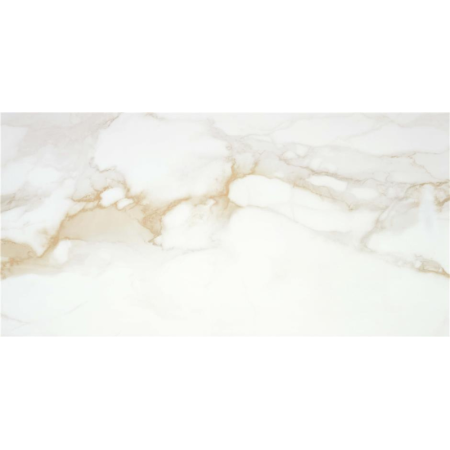 Camile Gold 60x120 Glänzend