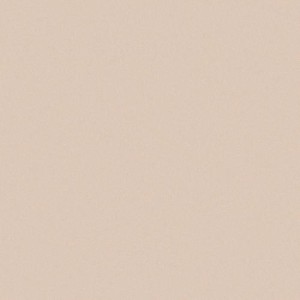CE.SI. I COLORI MATT 20x20 HANF