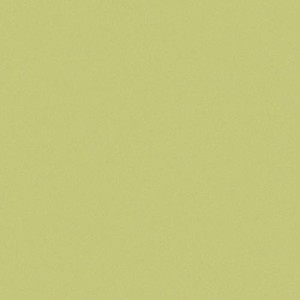 CE.SI. I COLORI MATT 20x20 APFEL