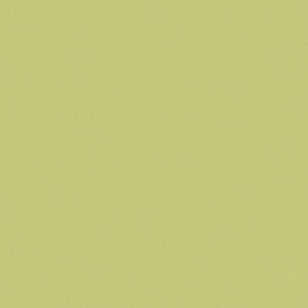 CE.SI. I COLORI MATT 20x20 APFEL