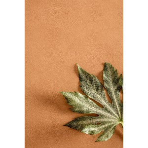 PIGMENTI SLIMTECH SUNSET 50X100 NAT - ST. 3,5 MM