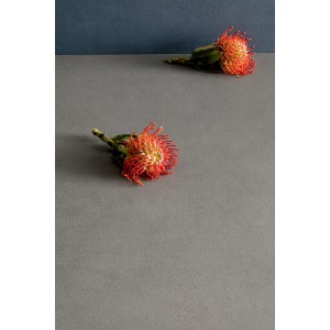 PIGMENTI SLIMTECH BASALT 50X100 NAT - ST. 3,5 MM