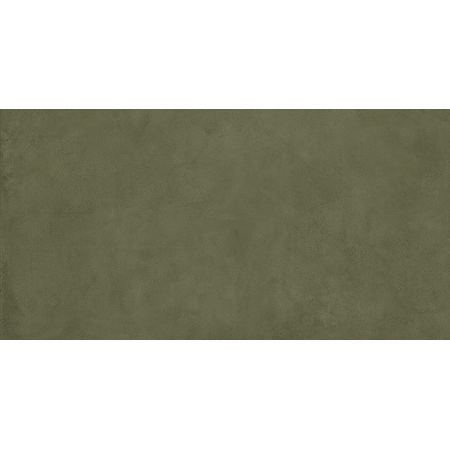 PIGMENTI SLIMTECH MOSS 50X100 NAT - ST. 3,5 MM