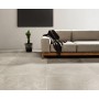 PIETRAVIVA GRIGIO CHIARO SILK 60,4x90,6 Rektifizierte