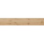 RAGNO CERAMICHE WOODTALE MIELE RETTIFICATO 20X120