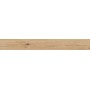 RAGNO CERAMICHE WOODTALE MIELE RETTIFICATO 15X120