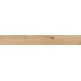 RAGNO CERAMICHE WOODTALE MIELE RETTIFICATO 15X120
