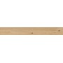 RAGNO CERAMICHE WOODTALE MIELE RETTIFICATO 15X120