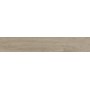 RAGNO CERAMICHE WOODPASSION TAUPE 15X90