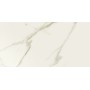 Elite Calacatta Nat 600x1200 1° Scelta (Opaco)